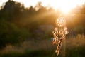 Dreamcatcher, american native amulet on sunset. Shaman