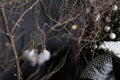 Dreamcatcher and branch trees against the background of a green fir-tree with white spheres and pieces of multi-colored pillows Royalty Free Stock Photo