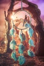 Dreamcatcher on a forest at sunset Royalty Free Stock Photo