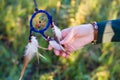 Dreamcatcher and girl hands with sunset in the forest Royalty Free Stock Photo