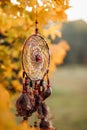 Dreamcatcher hanging on tree. Autumn leaf color in sunrise