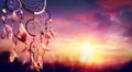 Dreamcatcher Indian Talisman Royalty Free Stock Photo