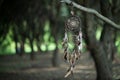 Dreamcatcher, magical spiritual Indian shaman amulet, mystical.