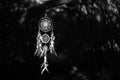 Dreamcatcher, magical spiritual Indian shaman amulet, mystical.