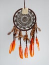 Dreamcatcher - native American amulet that protects the sleeper from evil spirits and diseases.