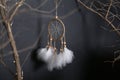 Dreamcatcher with white feathers hangs down from branches against a dark background