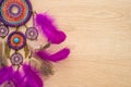 Dreamcather with purple feathers on the light wooden background