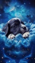 Dreaming on a Dark Matter Cloud: A Realistic Puppy in Blue and Black .