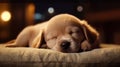 Dreaming Paws: A Peaceful Slumber of a Sleeping Puppy