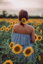 Dreaming young woman in blue dress and sunflower in hairs in a field of sunflowers at summer, view from her back. Looking forward Royalty Free Stock Photo
