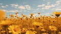 Dreamlike Field Of Yellow Flowers Under A Blue Sky Royalty Free Stock Photo