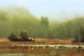 Dreamlike fog in Wildlife Refuge Landscape