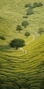 Dreamlike Green Tea Field Painting By Charles Angrand