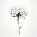 Dreamlike Illustration Of A Minimalistic Chrysanthemum In Black And White