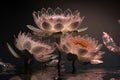 Dreamlike image of light glow lotus flower or water lily with transparent pink Royalty Free Stock Photo