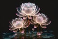 Dreamlike image of light glow lotus flower or water lily with transparent pink Royalty Free Stock Photo