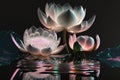 Dreamlike image of light glow lotus flower or water lily with transparent pink