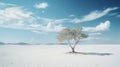 Dreamlike Lone Tree In Surreal White Sandy Landscape