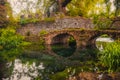 Dreamlike medieval fantasy forest fairy landscape river bridge