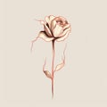 Dreamlike Minimalistic Rose Drawing In Light Beige And Dark Amber