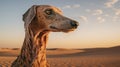 Dreamlike Portraits Of A Young Greyhound Dog In The Desert Royalty Free Stock Photo