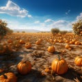 Dreamlike Pumpkin Patch In A Vray Traced Dry Field Royalty Free Stock Photo