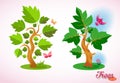 Dreamlike vector trees. Ecology and gardening. Colorful bird, butterfly, flowers, grass and green lawn. Royalty Free Stock Photo