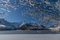 Dreamlike Winter wonderland in Almtal, Salzkammergut