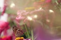 Dreamlike yellow butterfly on pink flower with light spheres