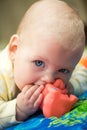Dreamly little baby girl portrait licks a toy Royalty Free Stock Photo