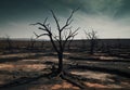 Ghost Trees: Climate Change\'s Toll on healthy environments