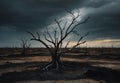 Haunting plains: Climate Change\'s Toll on Forest Life Royalty Free Stock Photo