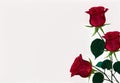 Elegant Red Roses on Transparent Background Royalty Free Stock Photo