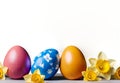 Colourful Easter Eggs and Daffodil on Transparent Background