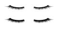 Eyelash or lash mascara vector icons. Royalty Free Stock Photo