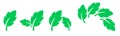 Green leaf icon set on white background. Vector vegetarian, vegan, eco and organic herbal icon Royalty Free Stock Photo