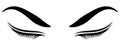 Eyelashes Vector symbol. Eyelash logo for your company.