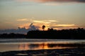 Dreamtime Palm Tree Sunset