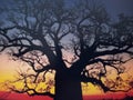 Dreamtime tree delivered colourful sunset