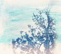 dreamy and abstract image of the bare branches at the forest, against sky. double exposure effect with watercolor brush stroke tex Royalty Free Stock Photo