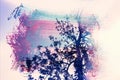 dreamy and abstract image of the bare branches at the forest, against sky. double exposure effect with watercolor brush stroke tex Royalty Free Stock Photo