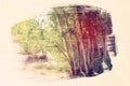 dreamy and abstract image of the forest. double exposure effect with watercolor brush stroke texture. Royalty Free Stock Photo