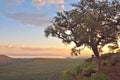 Dreamy African sunset