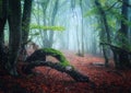 Scary autumn forest with trail in fog. Fall colors. Foggy trees Royalty Free Stock Photo