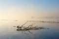 Dreamy Autumn Morning On Lake