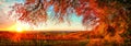 Dreamy autumn sunset landscape panorama