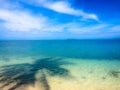 Dreamy beach palm shadow