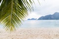 Dreamy beach view with palm tree leaf and white sand in Phi Phi island Royalty Free Stock Photo