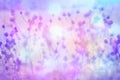 Dreamy beautiful floral background with bokeh lights