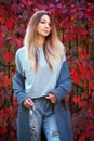 Dreamy beautiful girl with long colorful hair on autumn background of red grape hedge. Inspired woman in gray coat. Autumn Royalty Free Stock Photo